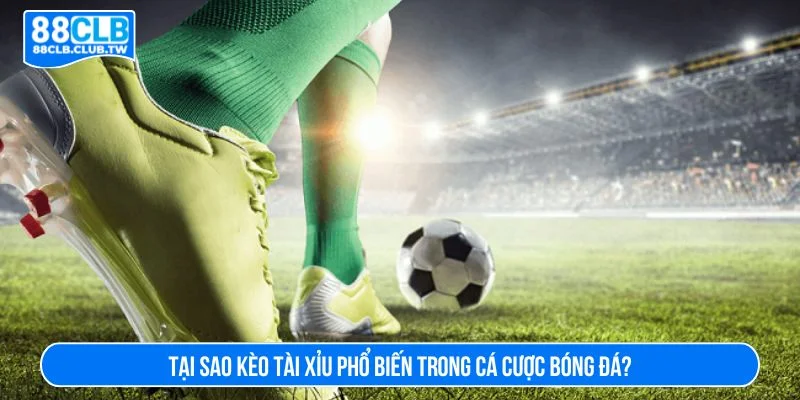 Cách soi kèo tài xỉu rất dễ áp dụng trong cá cược bóng đá