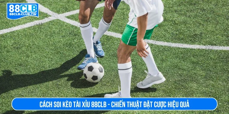 Cách soi kèo tài xỉu