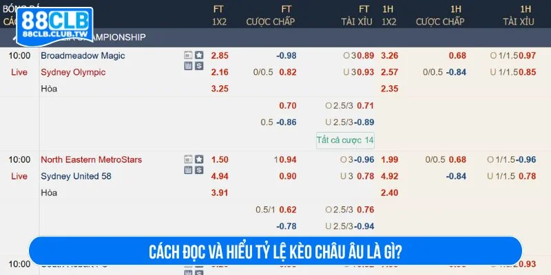 Giải thích về cách đọc kèo châu Âu là gì