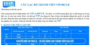 Khuyến Mãi VIP