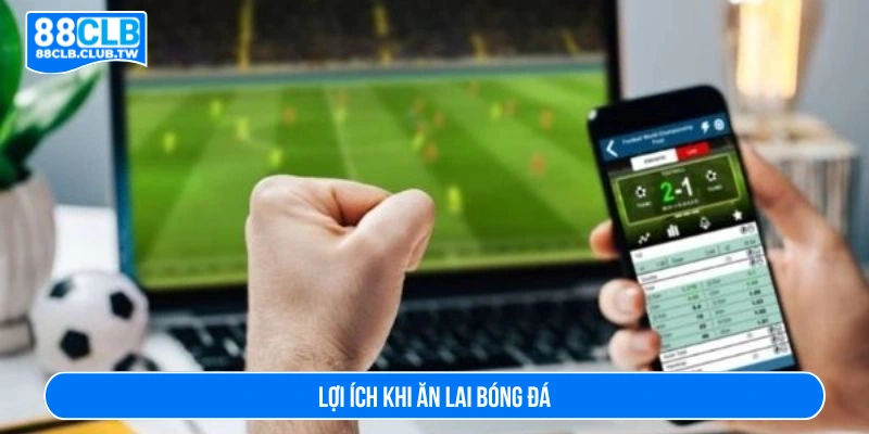 Lợi ích khi ăn lai bóng đá