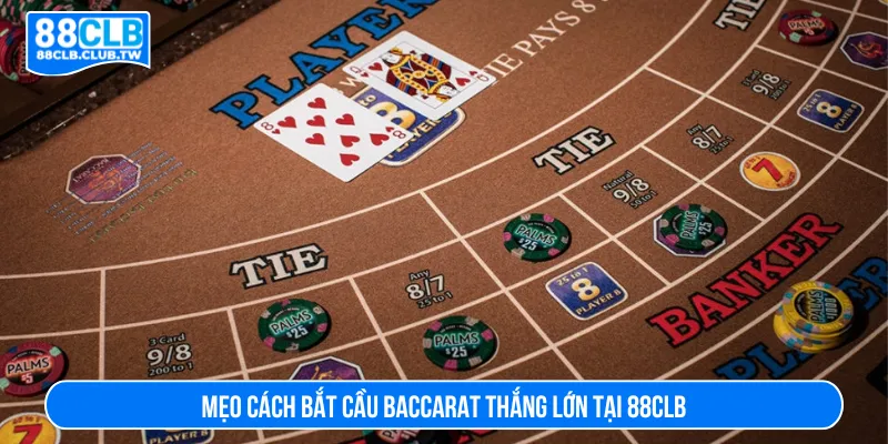 Tận dụng các cách bắt cầu Baccarat tối ưu được lợi nhuận