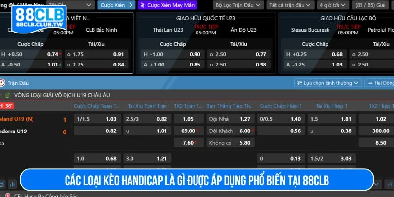 Tìm hiểu về các loại kèo handicap là gì